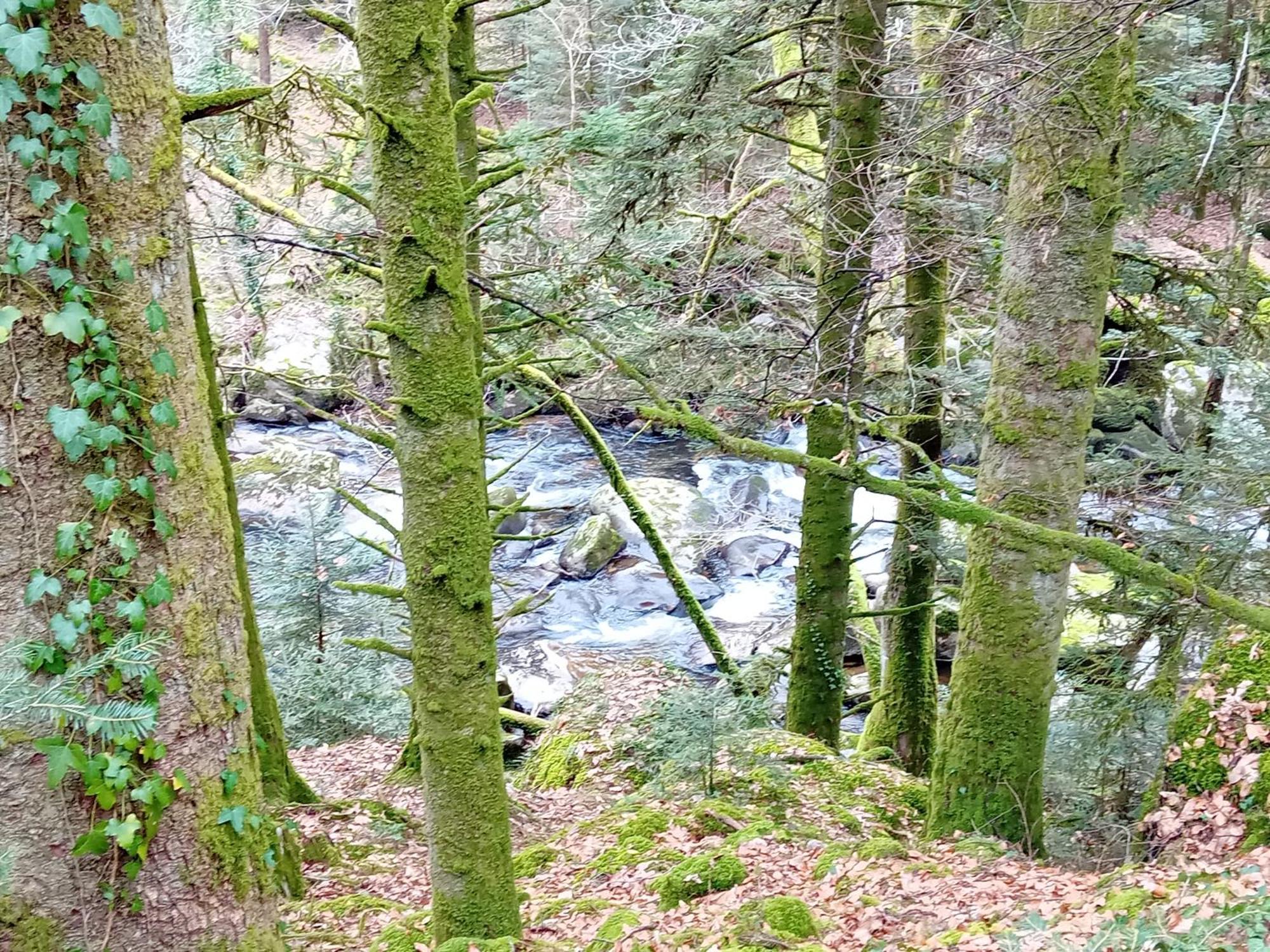 Gite Evasion Correzienne Seilhac Esterno foto